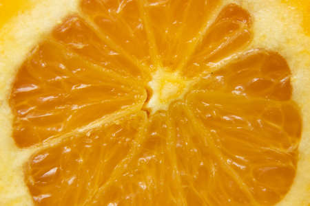 slice of orange in a cut macro photo, fruit backgroundの写真素材