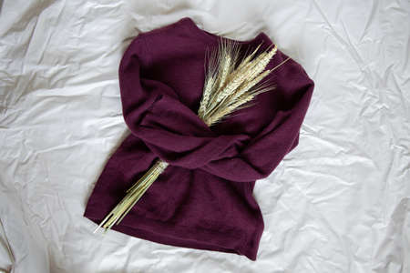 red woolen women's sweater with a bouquet of spikelets of wheat lies on a rumpled light backgroundの写真素材