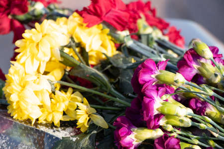 carnation flowers lie near the monument to those killed in the war on May 9の写真素材