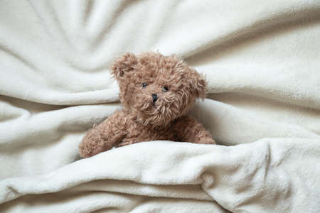 brown teddy bear lies wrapped in a white soft blanket, space for textの写真素材