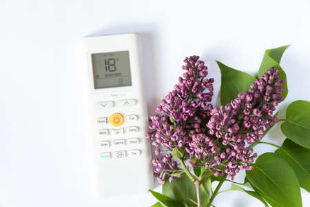 white remote control from the air conditioner and a branch of blooming siren on an isolated...