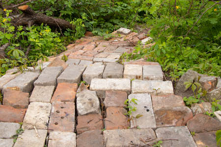 road made of old brick in the forest in spring in the sun in Ukraineの写真素材