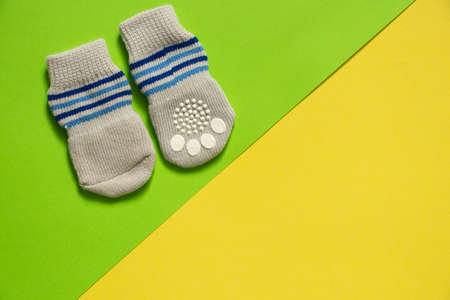 gray socks for dogs on isolated background, clothes for animals, socks for dogの写真素材