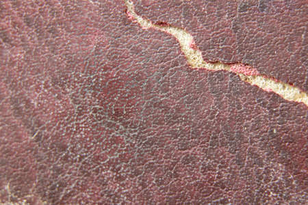old red leather as background, macro photo, leatherの写真素材