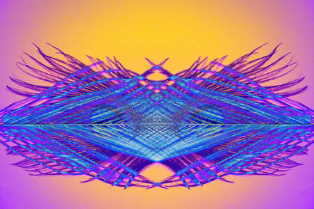 abstract multicolored peacock feather pattern, abstract background, fantasyの写真素材