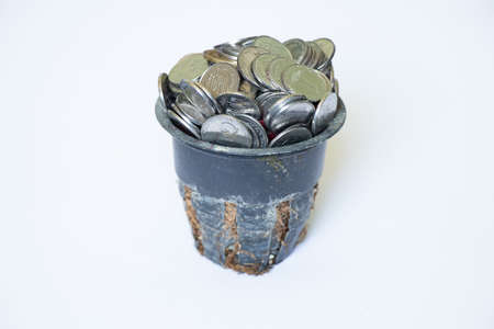 Ukrainian pennies lie in a flower plastic pot with sprouted roots on a white background, financial...