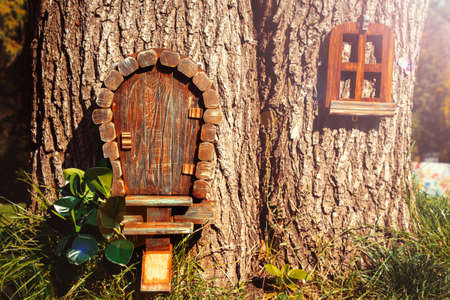 fabulous little children's wooden house in a tree trunk in a park in the summer in the sun in Ukraine, a house for a gnome, a house from a fairy taleの写真素材