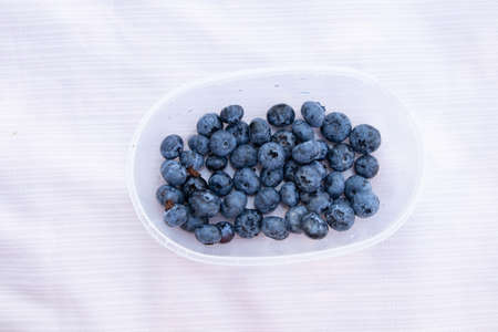 blueberries in a plastic box on a tablecloth in the sun outside, blueberriesの写真素材