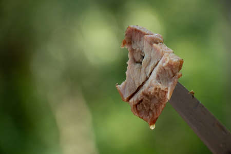 fried pork skewers on a knife on a green background in the forest, fried skewers, meat on a nodeの写真素材