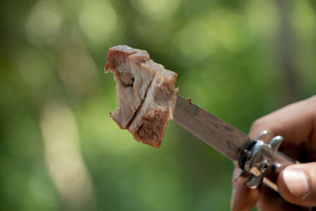 fried pork skewers on a knife on a green background in the forest, fried skewers, meat on a node