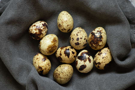 quail eggs close-up on a gray background, quail eggs macro photo
