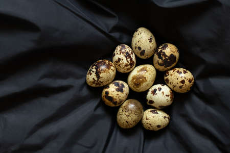 quail eggs close-up on a black background, quail eggs macro photoの写真素材