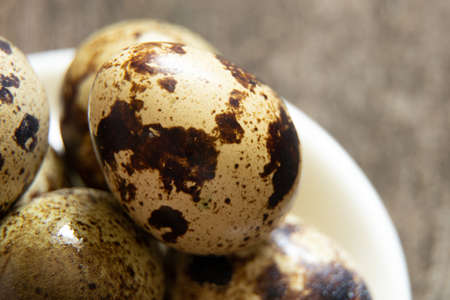 quail eggs close-up, quail eggs macro photoの写真素材