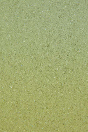 background of foam sponge green-blue, soft porous background macro photoの写真素材