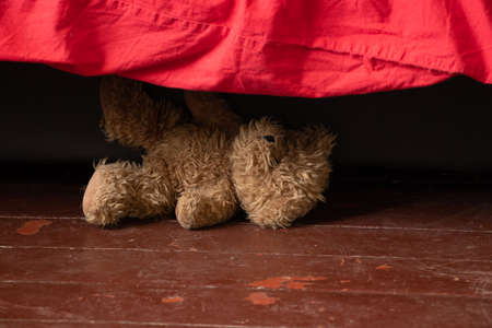 a teddy brown baby bear lies near the bed on the floor in the bedroom at home, a teddy bearの写真素材