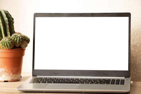 a laptop with a white screen is on the table, a cactus is carried in a room at home, a laptop is on the table, working at a laptop at homeの写真素材