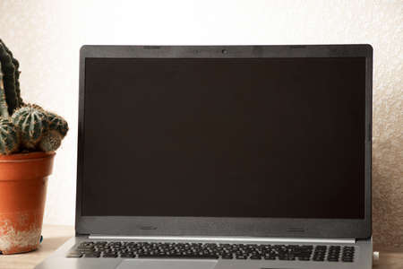 the laptop is on the table near the cactus in the room at home, the laptop is on the table, working at the laptop at homeの写真素材