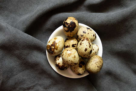 quail eggs close-up on a gray background, quail eggs macro photo