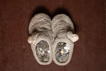 pennies and dollars lie in gray slippers on the wooden floor, money in shoes, financeの写真素材