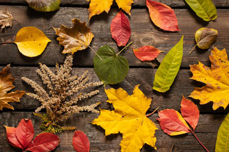 autumn leaves on a wooden board for background, autumn background, wooden board
