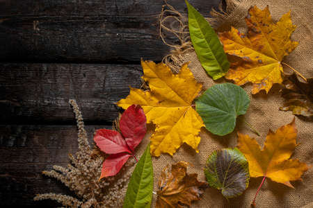 autumn leaves on wooden board and burlap fabric for background, autumn background, wooden boardの写真素材