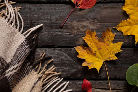 brown woolen plaid in a cage lies on an old wooden floor as a background, a wooden background and on it a blanket and autumn leaves, autumn moodの写真素材