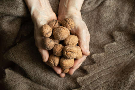 old woman holding a lot of walnuts in her hands at home on the background of a brown shawl, nuts in grandmother's hands, healthy food, vegan foodの写真素材