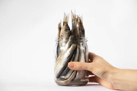 salted sprat in a glass transparent jar on a white plate, seafood in a jar, fish on a white plate, spratの写真素材