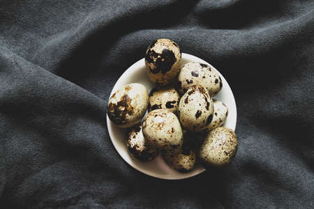 quail eggs close-up on a gray background, quail eggs macro photoの写真素材