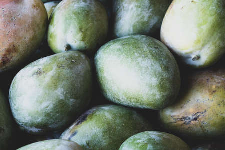 ripe green mango lie on the counters at the bazaar in egypt, mango fruit for backgroundの写真素材