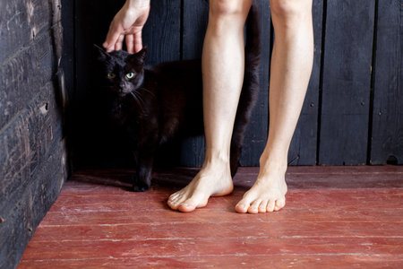 female bare feet on a wooden floor at home and next to a black catの写真素材