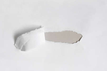 torn white paper as background, space for text as wallpaper