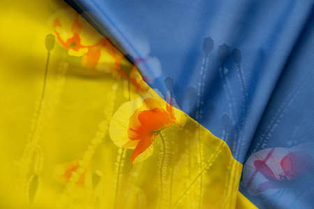 National flag of ukraine yellow blue and red poppy flowers in poly in ukraine ,stop war ,peaceful life 2022の写真素材