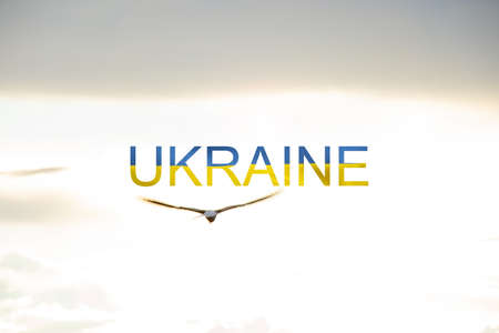 The word Ukraine in the yellow-blue color of the national flag of Ukraine and nearby in the sky a seagull flies over the Dnieper, a free country and people 2022の写真素材
