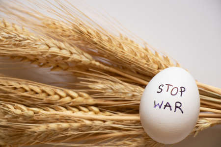 Stop war is written on a chicken egg that lies on wheat on a white background, harvest and products during the war period, foodの写真素材