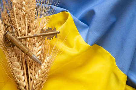 Ears and a bullet with a key lie on the national flag of Ukraine, yellow and blue, Stop the war in Ukraine and peace to all, glory to Ukraine, protection of our home 2022の写真素材