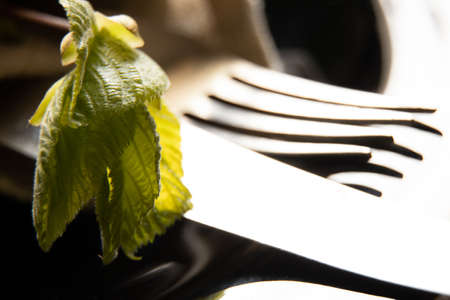 Knife and fork in a black plate close-up on a table in the kitchen and a branch from a tree with cherished leaves in spring, cutlery and table settingの写真素材