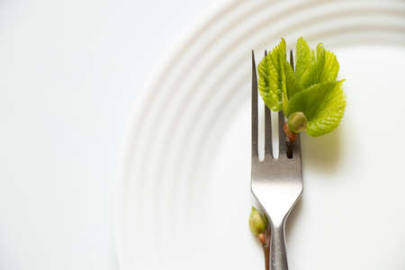 Green leaves on a fork on a white plate on a white background, vegan food, kitchen utensilsの写真素材