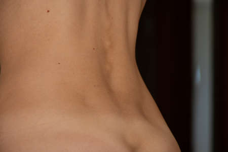 Womens back close up, waist and figureの写真素材