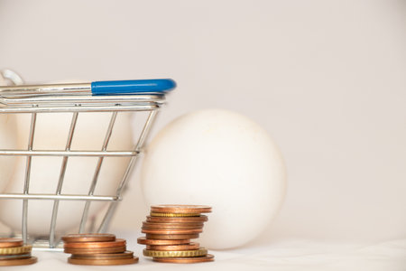 Chicken eggs in a basket from a supermarket and a stack of coins on a white background, the price of eggs in the storeの写真素材
