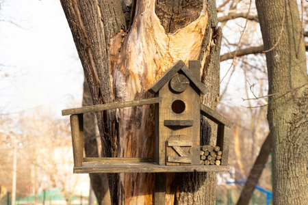 bird tree house in the park on a sunny day