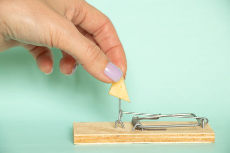 A woman's hand takes a piece of cheese from a mousetrap on a blue background, danger and cheese in a...