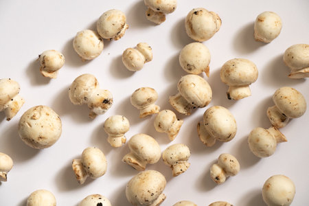 raw champignons on a white backgroundの写真素材