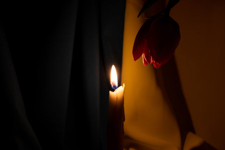 Candle and pink tulip in the dark against the background of the flag of Ukraine ,holidayの写真素材