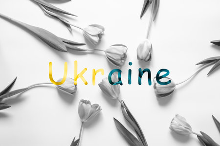 Text Ukraine in the color of the flag of Ukraine yellow-blue against the background of tulips without color, wallpaperの写真素材