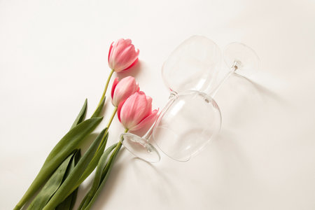 Pink tulips and two empty wine glasses on a white background close-upの写真素材