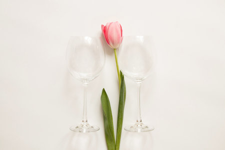 One pink tulip and two empty glasses on a white background close-upの写真素材