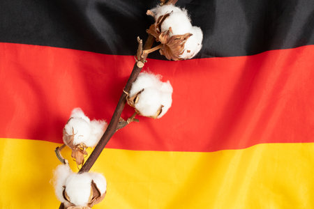 A branch of dry cotton lies on the flag of Germanyの写真素材