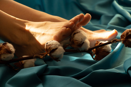 Women's legs on a blue fabric and a branch of dry cotton, a girl's footの写真素材