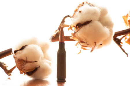 A combat bullet stands near a branch with cotton in the sunlightの写真素材